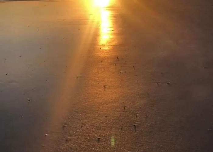 Seaside Sonas 木屋 *